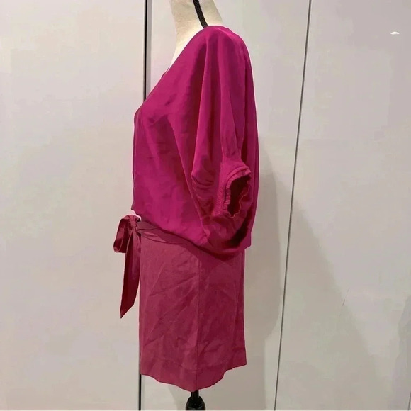 Diane von Furstenberg NWT Edna Pink Puff Sleeve Tie Waist Silk Dress Size 2 - Picture 13 of 16